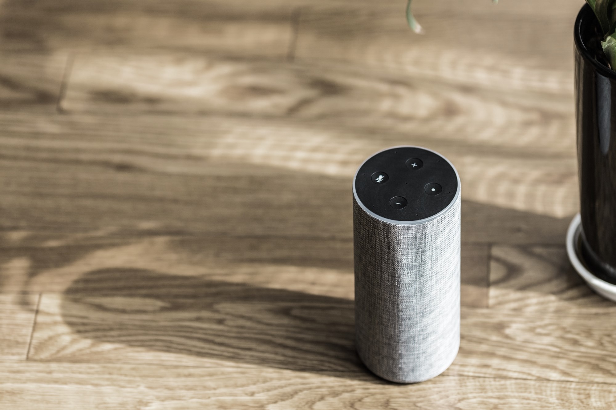 [Guide]: Voice Search Marketing – How to Reach Smart Speaker Users