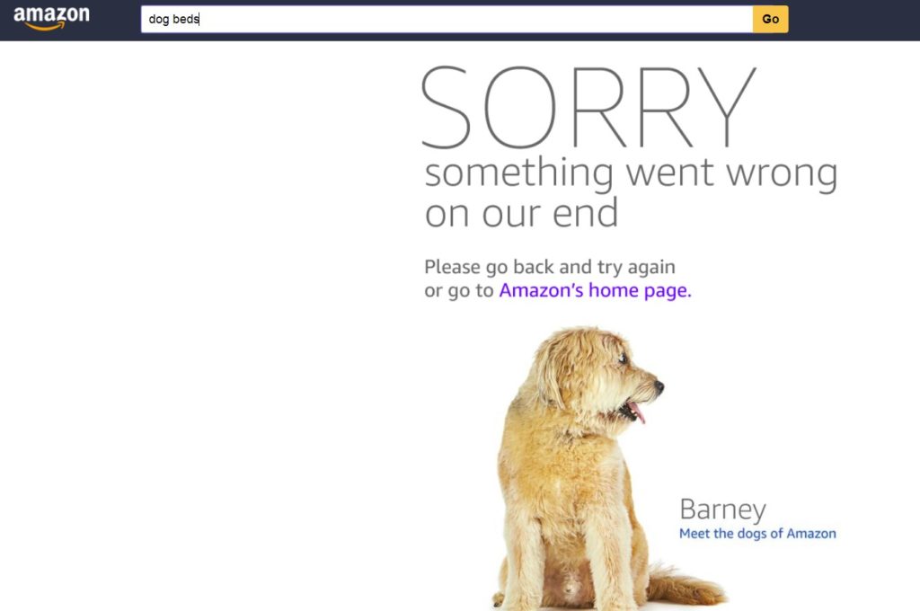 Sorry! Something went wrong - Problems with Amazon on Prime day